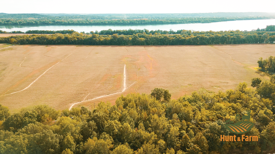 Still 2025-10-28 135545_1.5.1.png